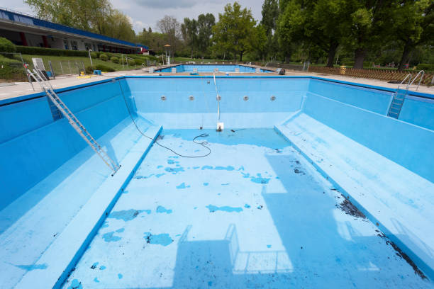 Best Flood restoration services  in Frankford, DE