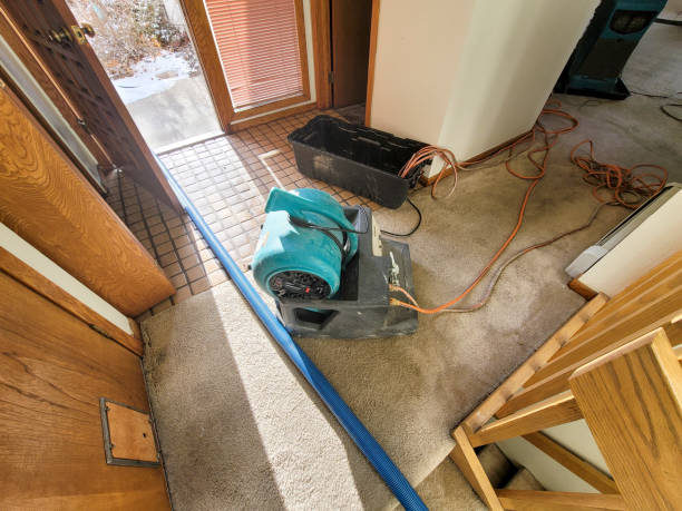 Best Ceiling water damage repair  in Frankford, DE