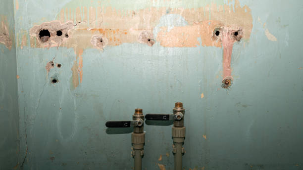Best Flooded house restoration  in Frankford, DE