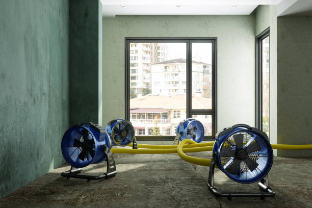 Best Water damage restoration experts  in Frankford, DE
